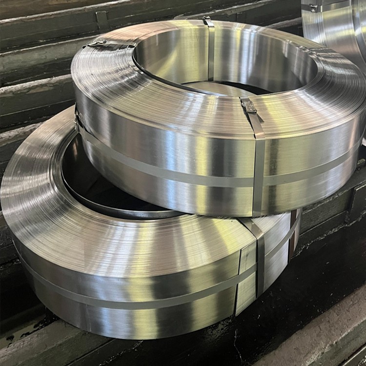 Stainless Steel Strip