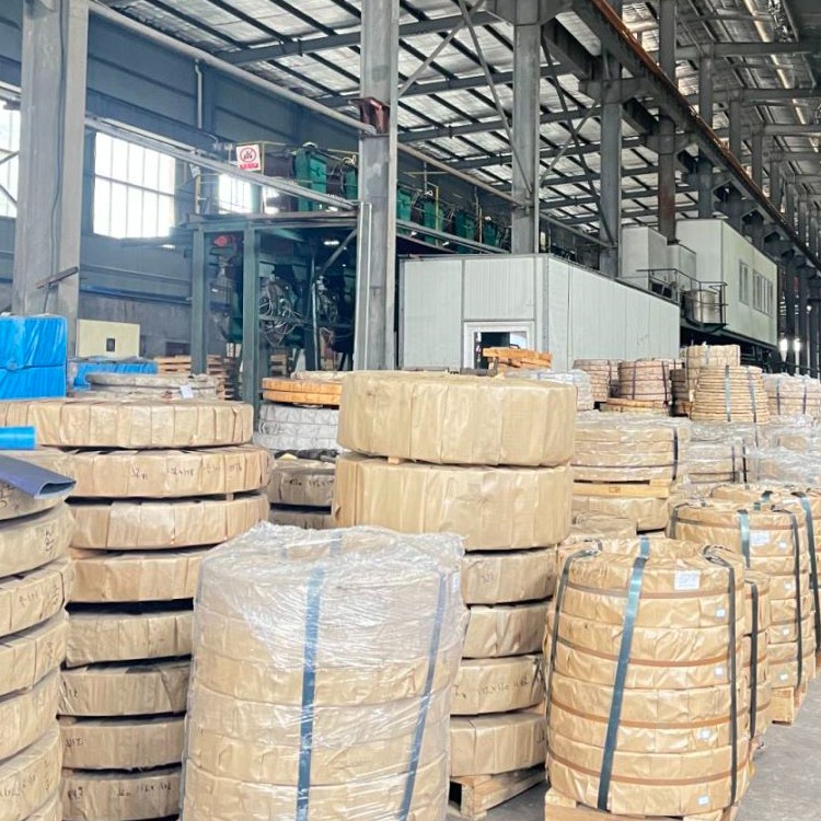 Stainless Steel Strip